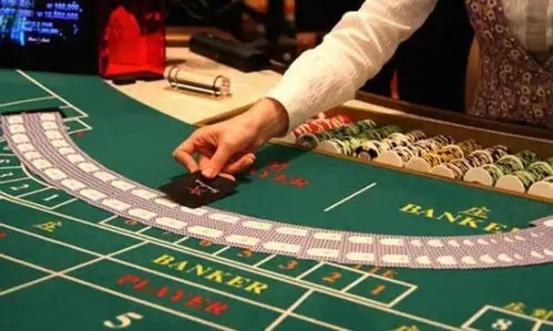 5h bet app 5h bet app